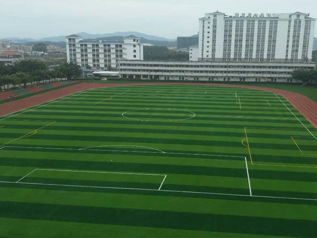 Artificial Grass Used for Playground, Practice Ground, PE Class, Military Training and Other Indoor and Outdoor Activities